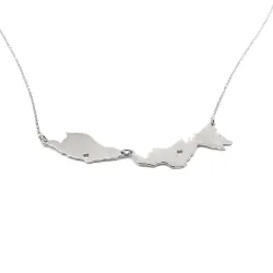 Sterling silver platinum  plated necklace with 2 maps of your favorite countries or regions