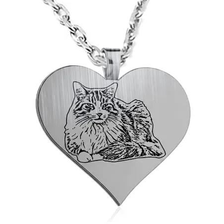 Nickel silver heart pendant with photo engraving, stainless steel chain