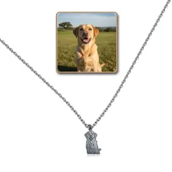 Nickel silver outline pendant with photo engraving, stainless steel chain + date on the back