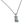 Nickel silver outline pendant with photo engraving, stainless steel chain + date on the back