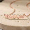Silver Rose Gold Plated Necklace with Latin Date