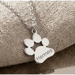 Ασημένια επιπλατινωμένη πατούσα σκύλου-γάτας με χαραγμένο όνομα, ατσάλινη αλυσίδα