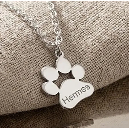 Ασημένια επιπλατινωμένη πατούσα σκύλου-γάτας με χαραγμένο όνομα, ατσάλινη αλυσίδα