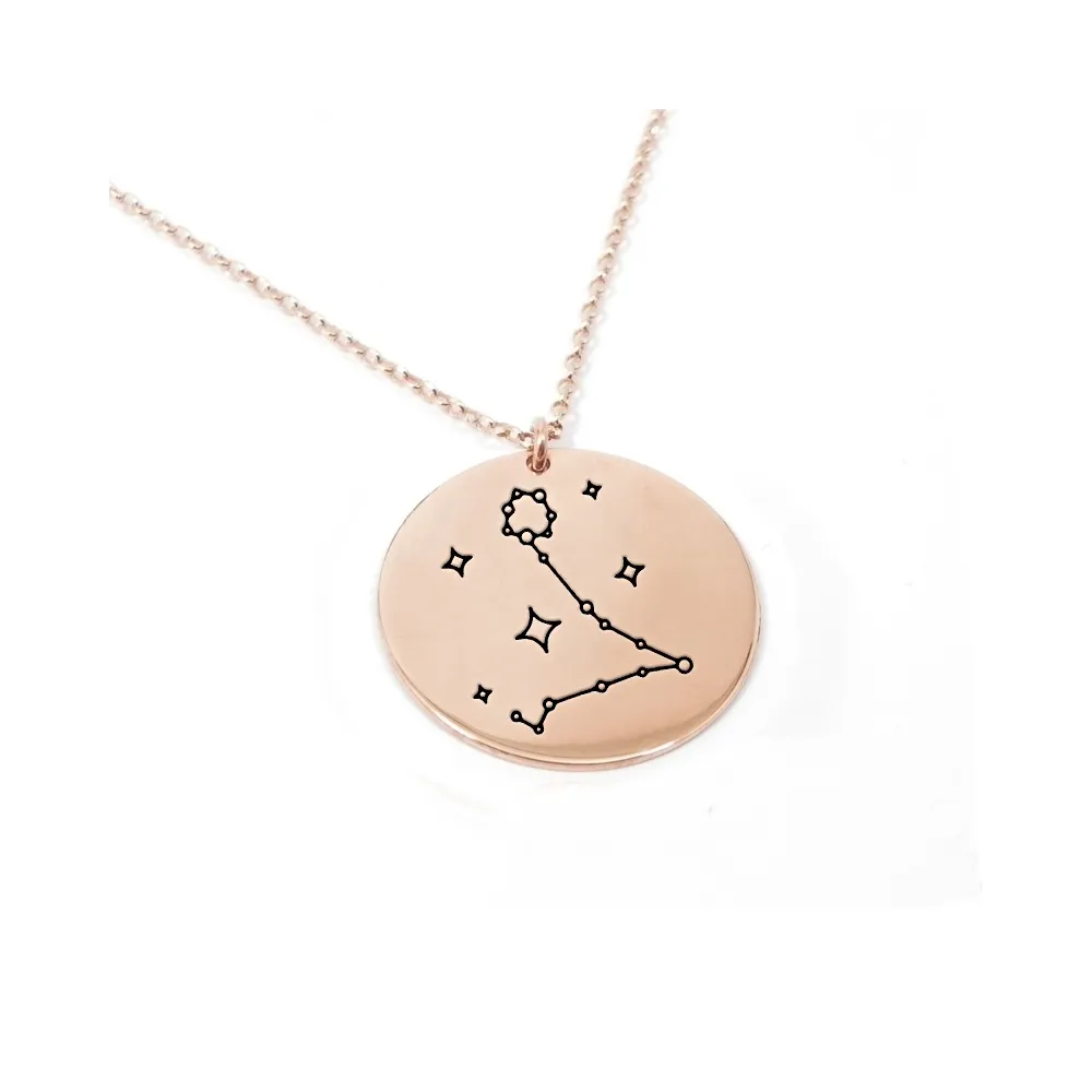 Rose gold plated Pisces necklace on silver 925