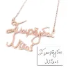 Silver rose gold plated double name necklace with your script